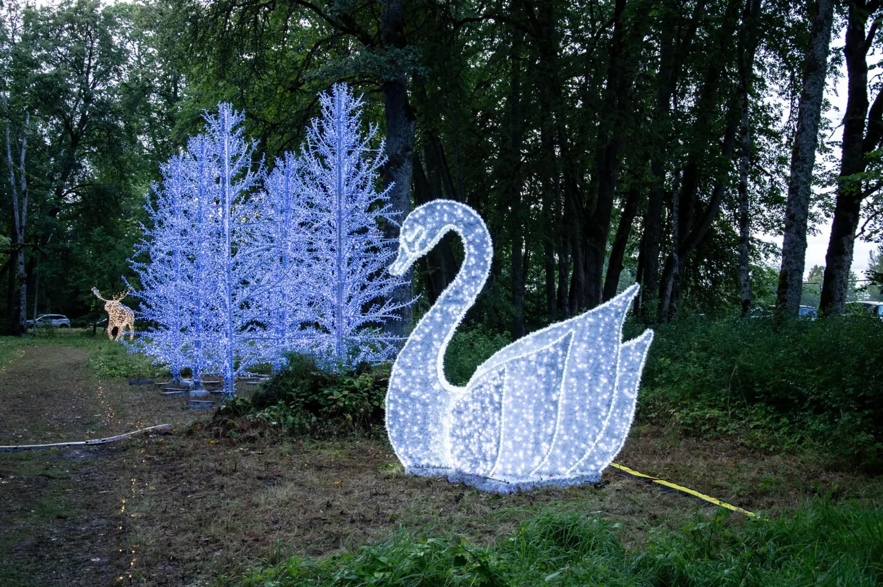 Illuminated sculptural display installed in a botanical garden