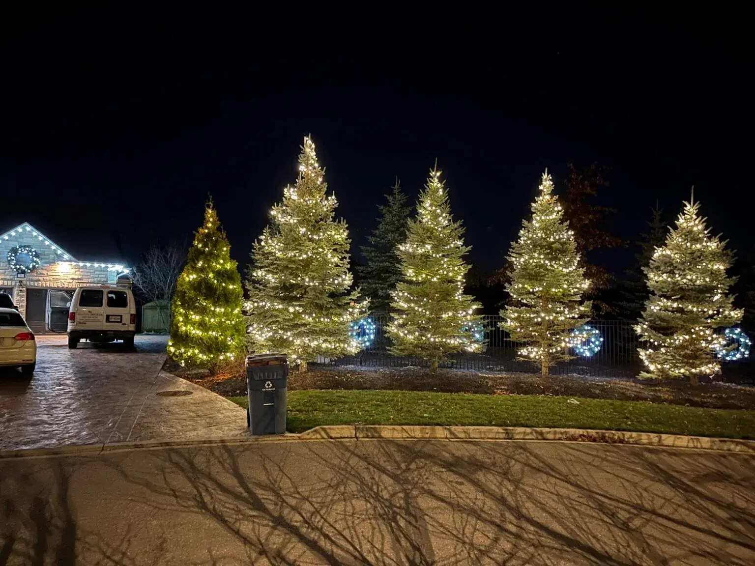 Row of large illuminated Christmas trees lighting a commercial property at night