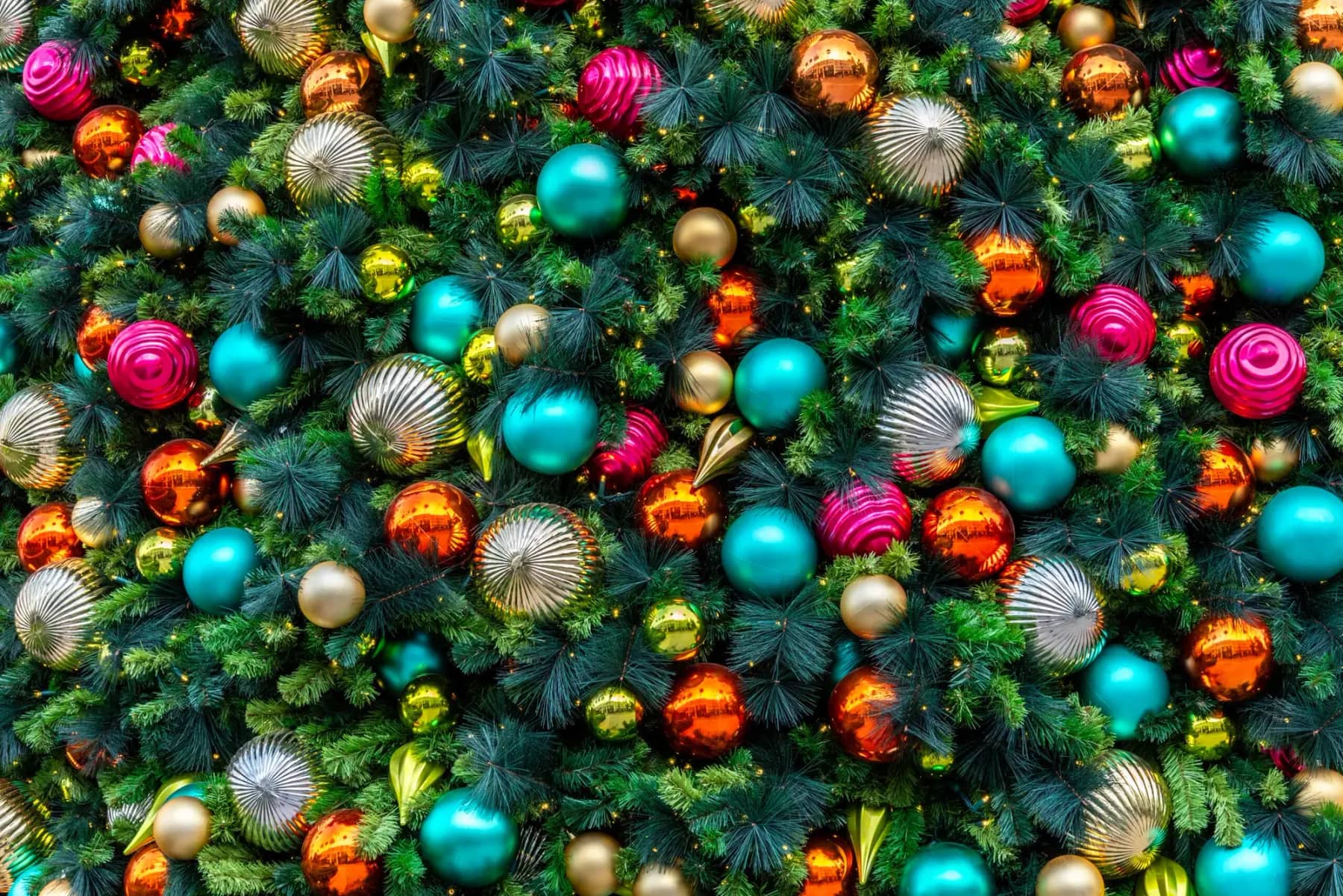 Commercial Christmas tree installed and lit on a retail plaza at night
