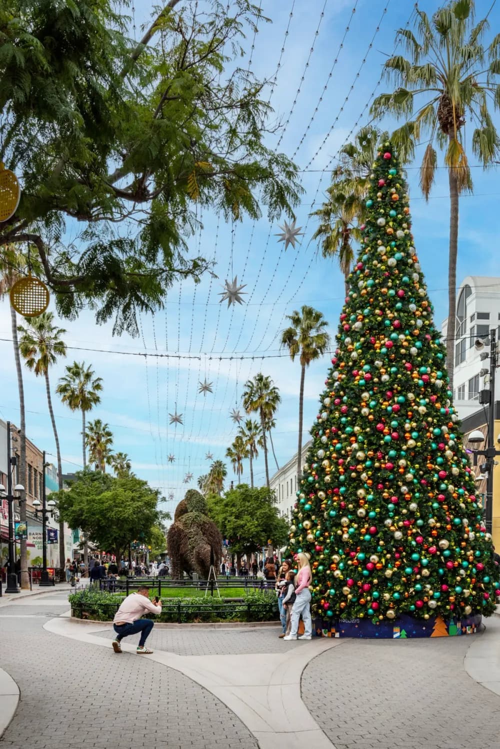 Commercial Christmas tree installed and lit on a retail plaza at night