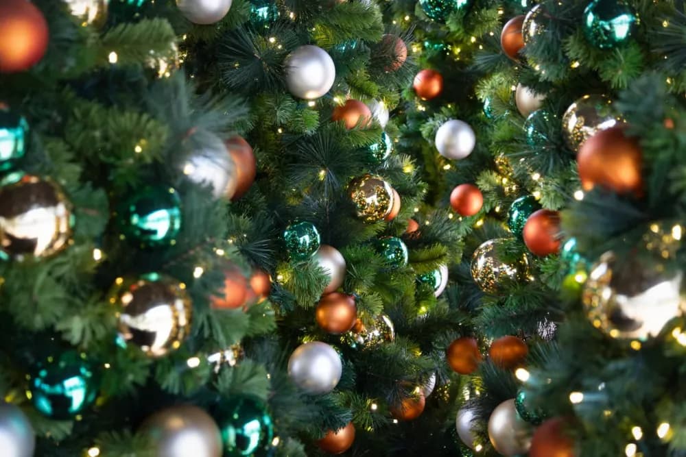 Commercial Christmas tree installed and lit on a retail plaza at night