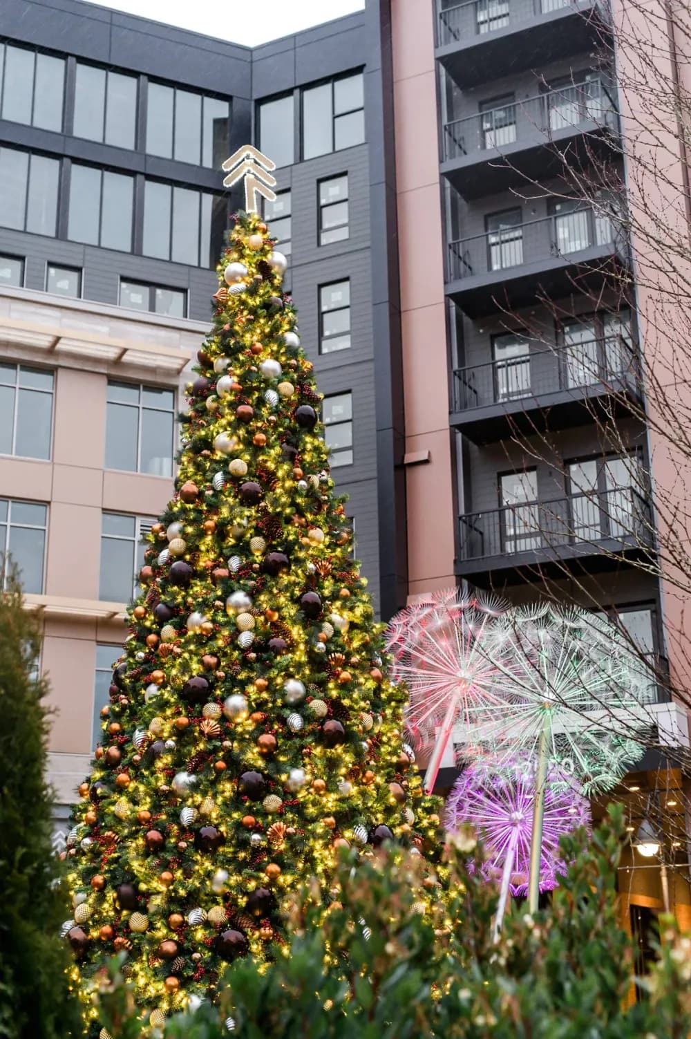 Commercial Christmas tree installed and lit on a retail plaza at night